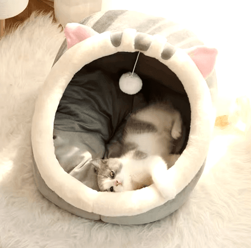 Casinha para Gatos ou cachorros