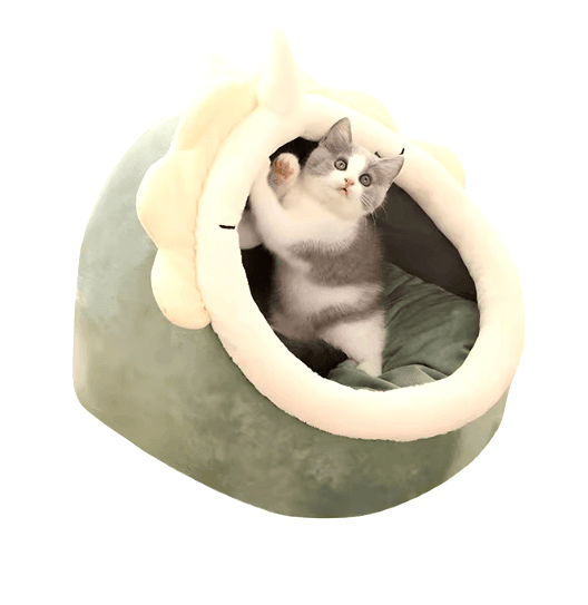 Casinha para Gatos ou cachorros