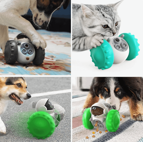 Brinquedo para cães e gatos - DKACIO.COM