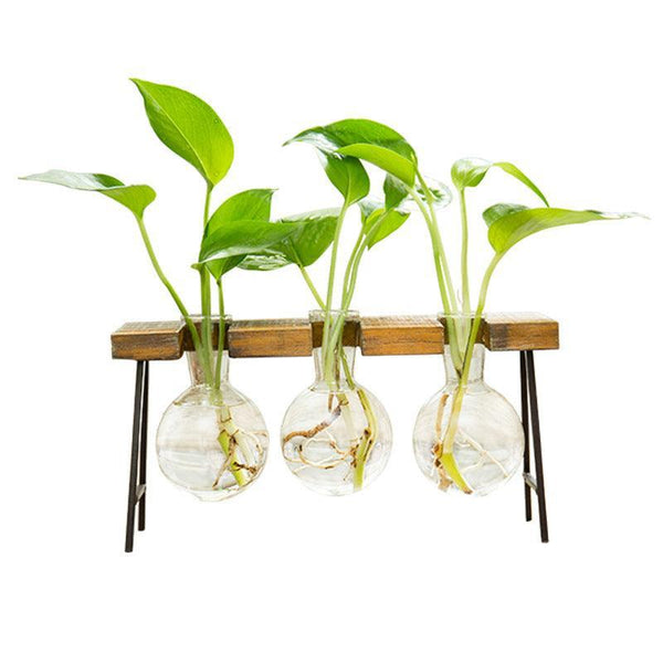 Vaso transparente para decoração - DKACIO.COM