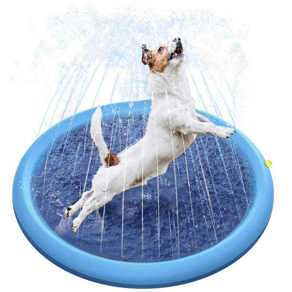 Piscina para Cães - DKACIO.COM