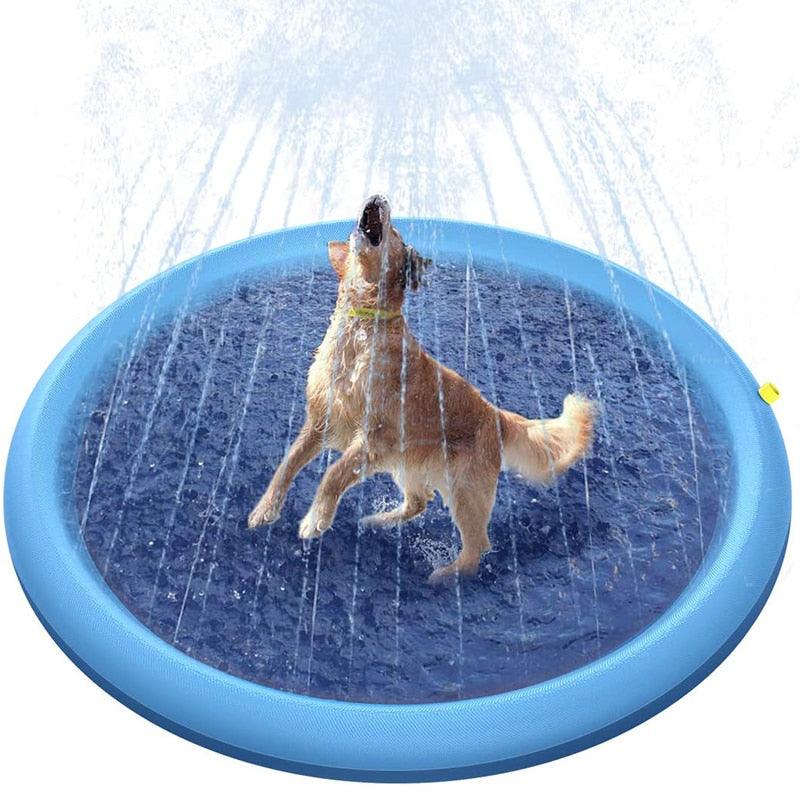 Piscina para Cães - DKACIO.COM