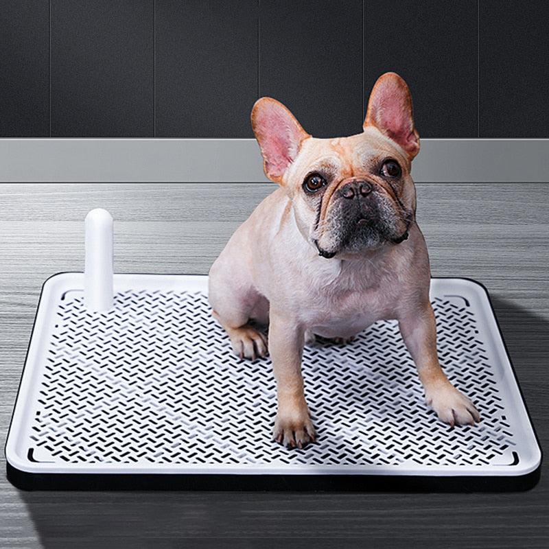Banheiro para cachorro - DKACIO.COM